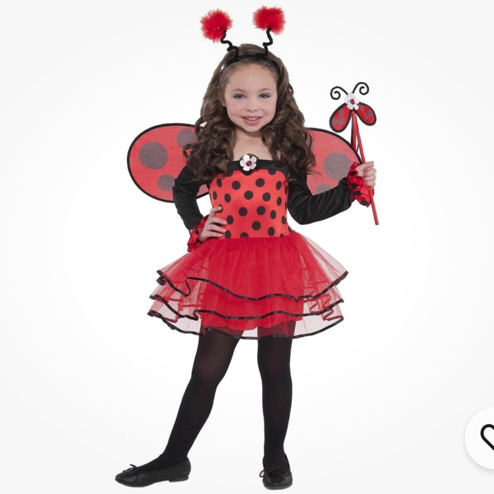 Ballerina Ladybug Costume Dress with Wings and Wand NEW S 4-6 Halloween dress up